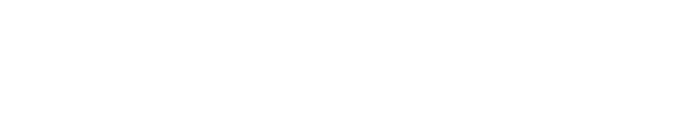Logo Renner